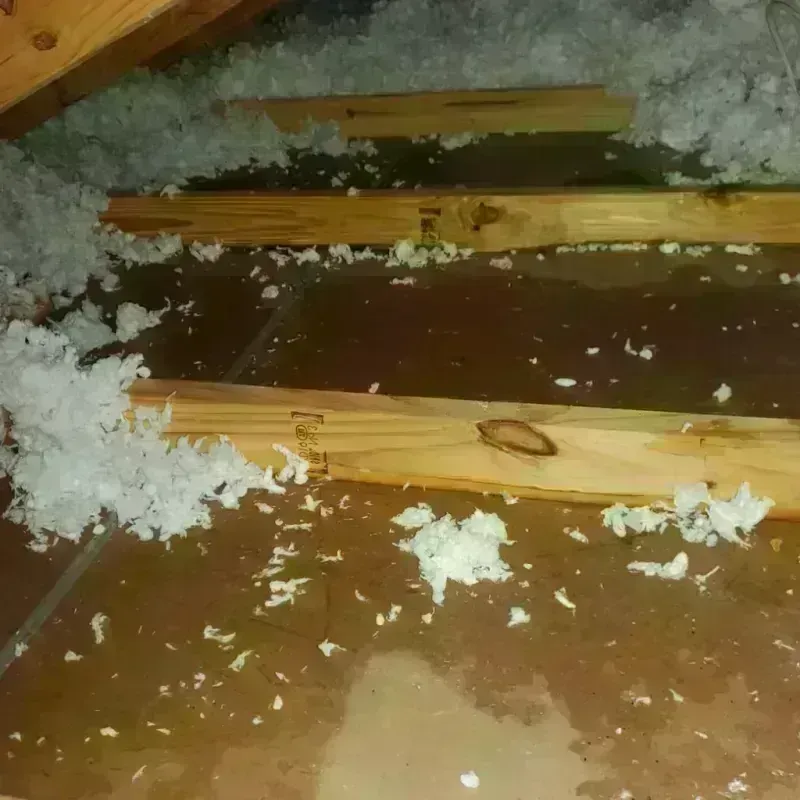 Attic Water Damage in Clanton, AL