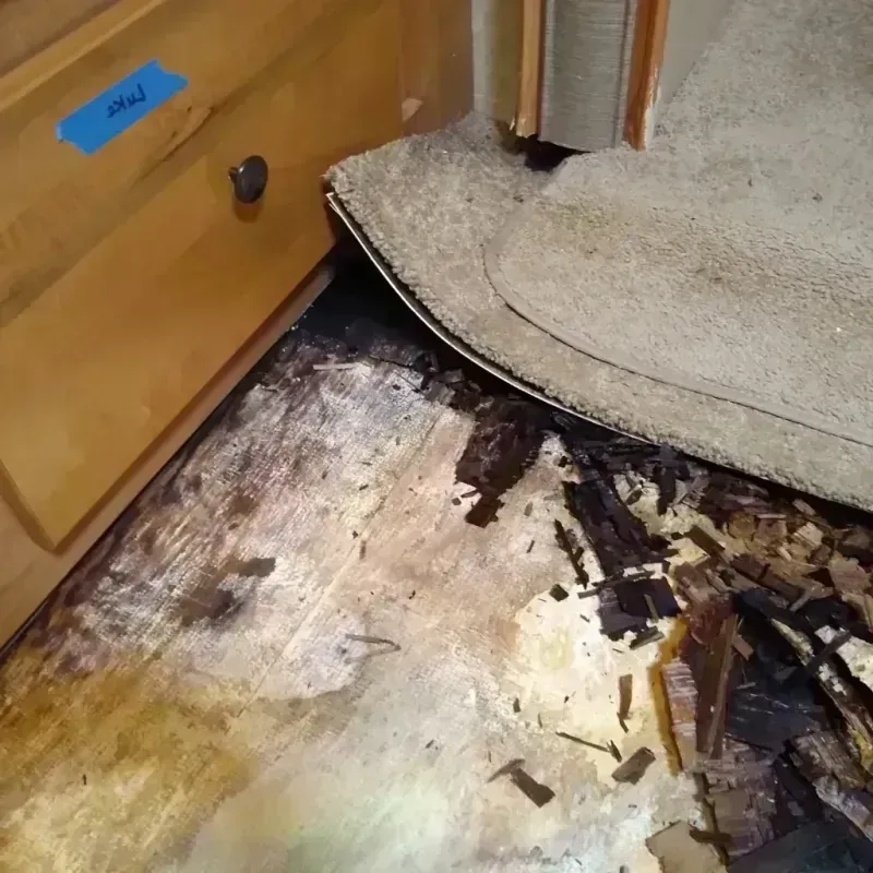 Wood Floor Water Damage in Clanton, AL